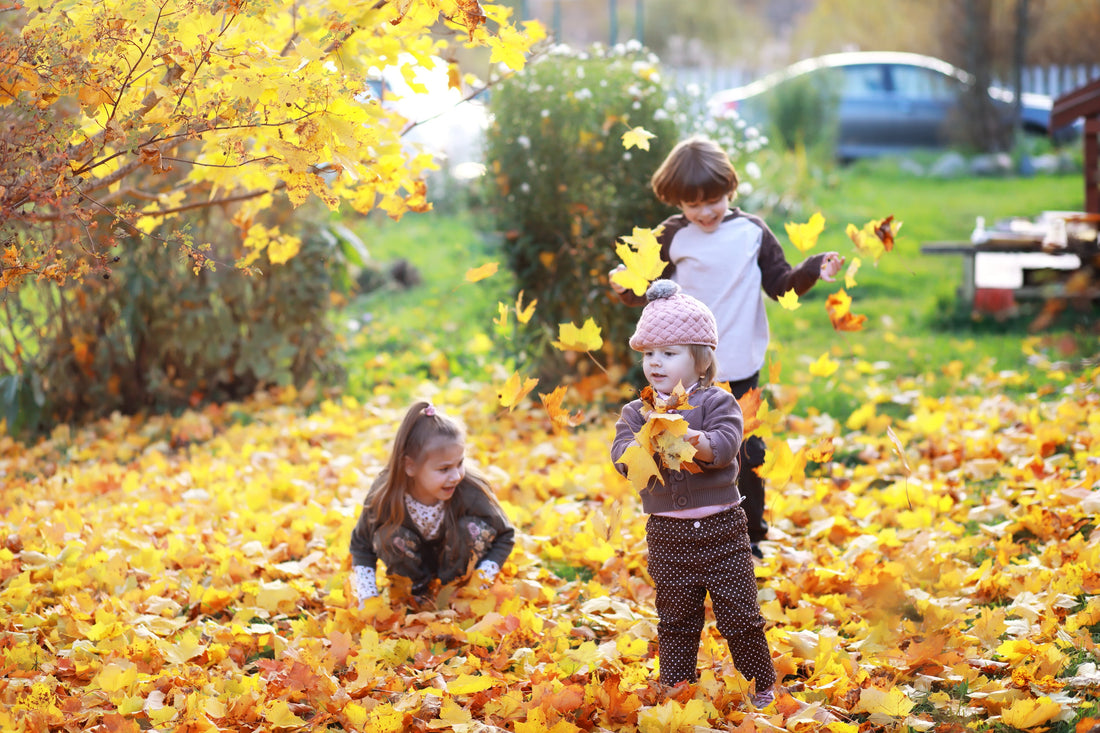 Fall invites us to slow down...
