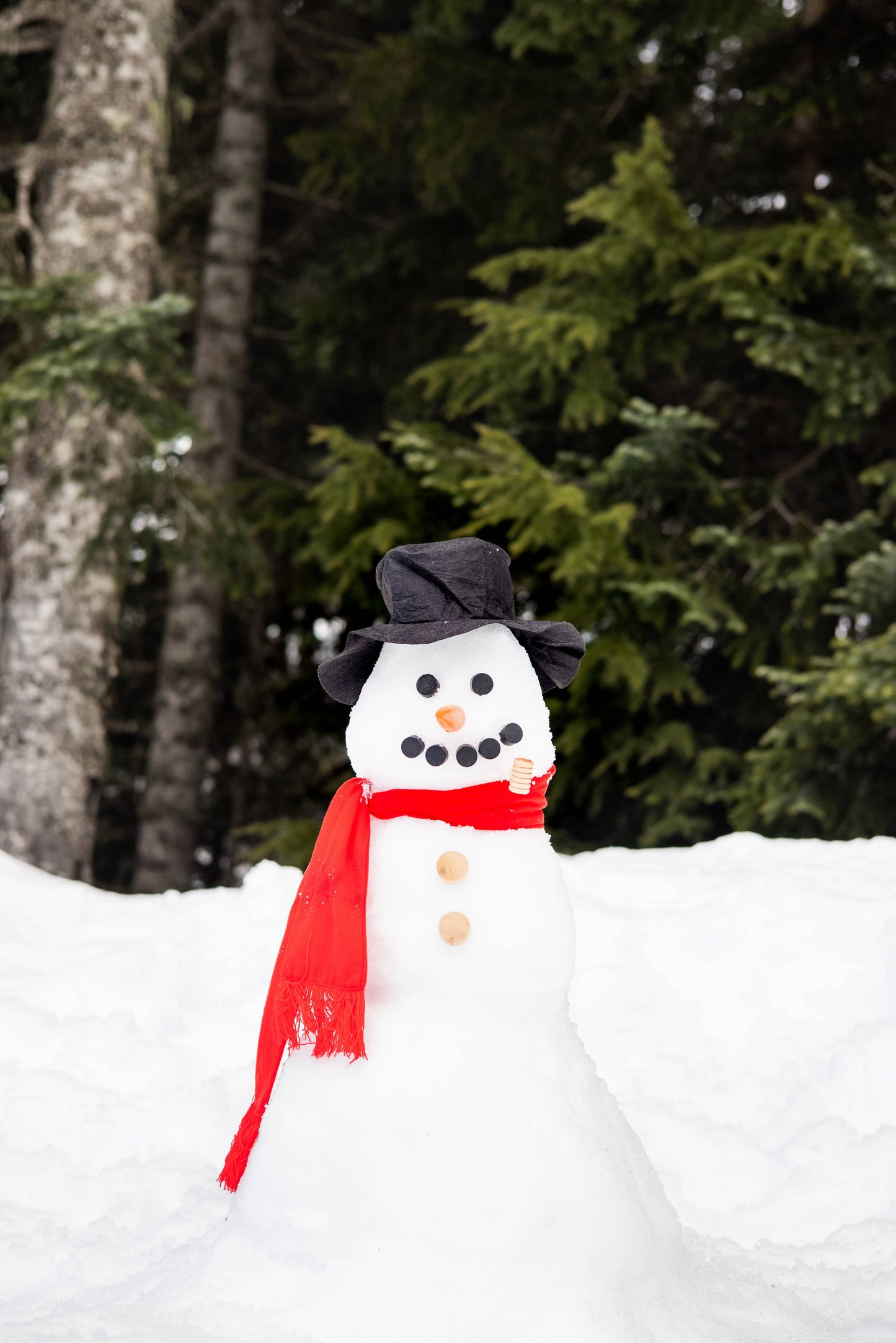Build Your Own Snowman DIY Kit