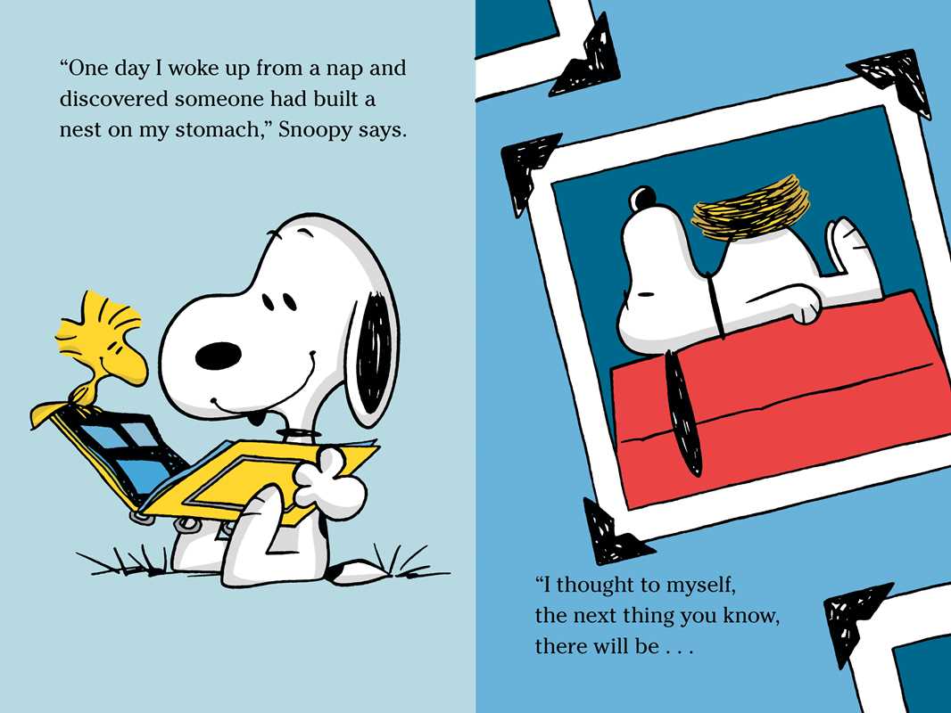 Five Funny Snoopy and Charlie Brown Stories