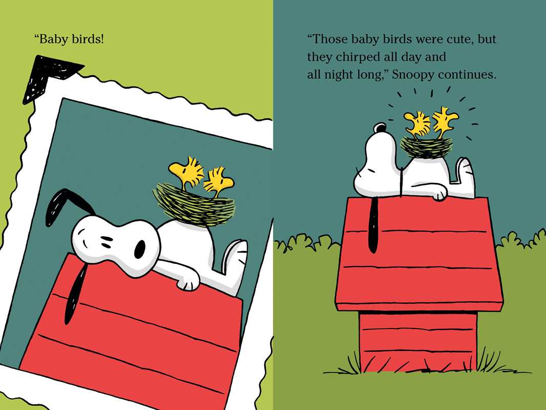 Five Funny Snoopy and Charlie Brown Stories