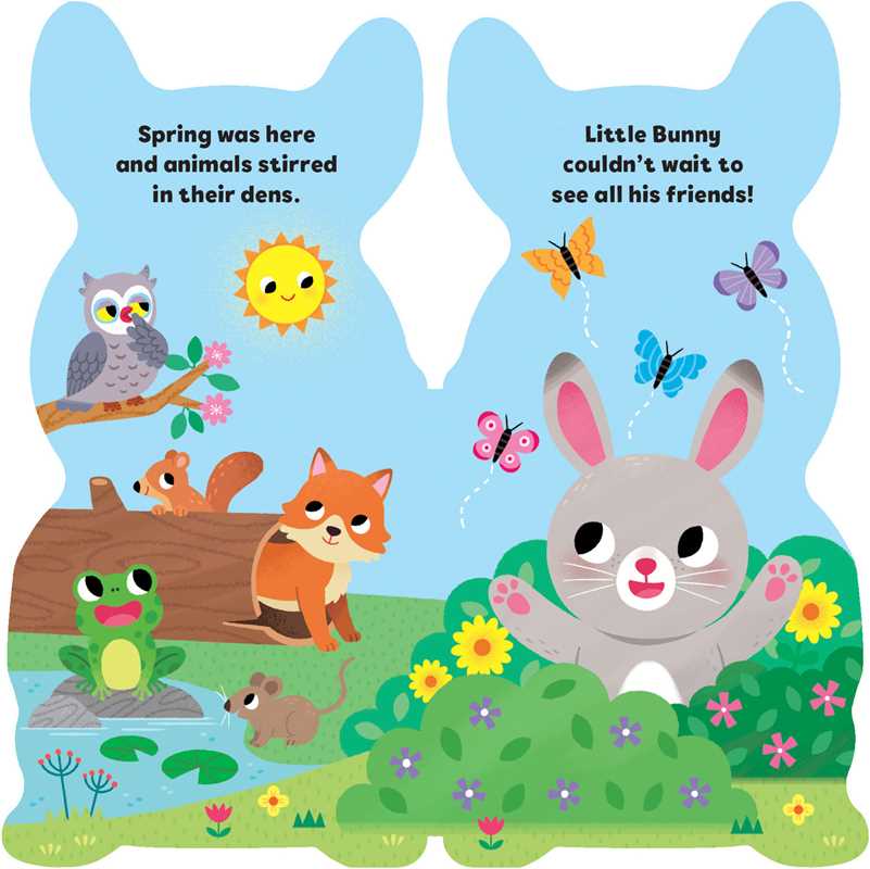 Little Bunny Board Book