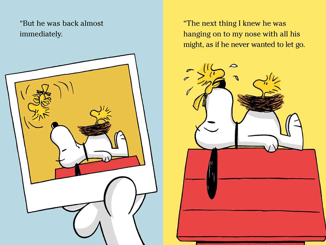 Five Funny Snoopy and Charlie Brown Stories