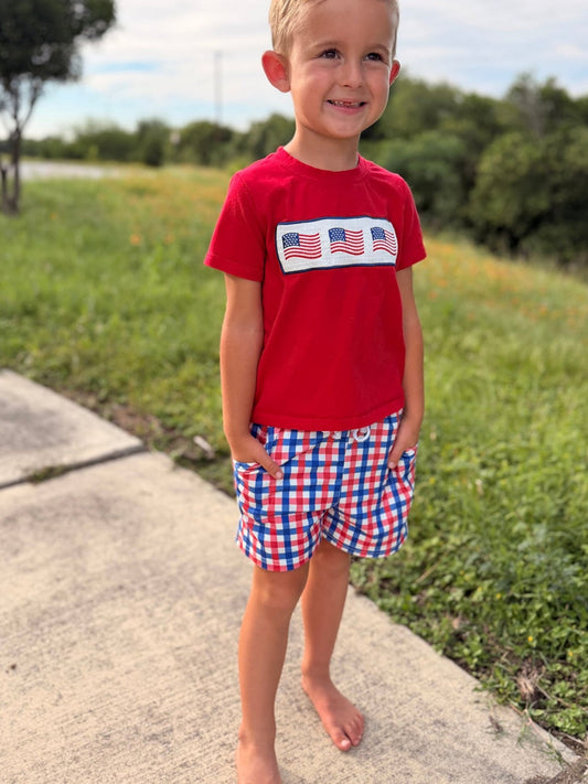 4th of July Plaid Flag Set