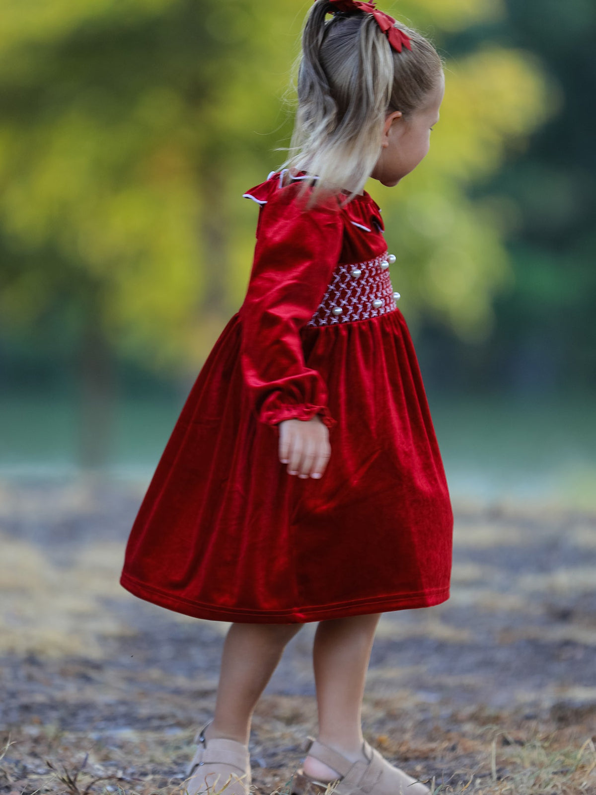 Velvet Smocked Dress