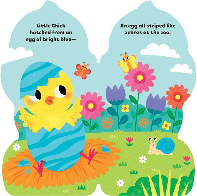 Little Chick Board Book